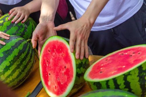 免费吃瓜骗局,警惕网络陷阱 第2张 免费吃瓜骗局,警惕网络陷阱 第2张