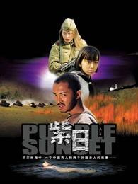 紫日高清在线观看,穿越时空的浪漫传奇